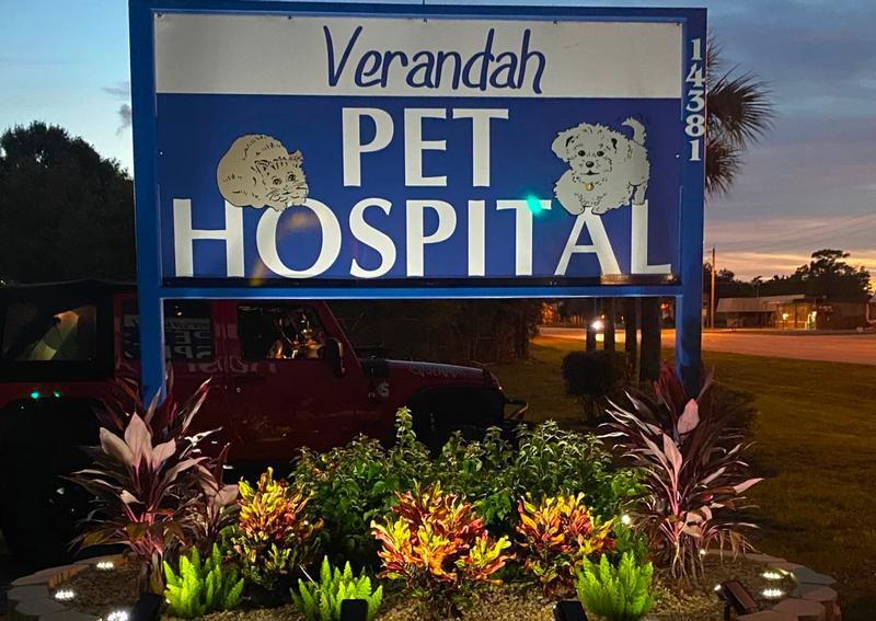 Carousel Slide 12: Verandah Pet Hospital Exterior Sign