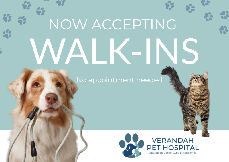 Carousel Slide 1: Learn more about cat & dog care >>